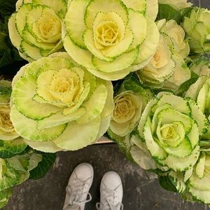 Meet your Posher, Sofia